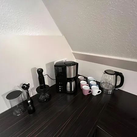 Romantische Fuer 5 Mit Hund Im Erzgebirge Appartement *