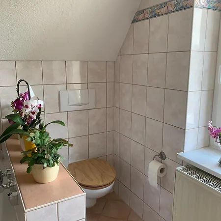 Romantische Fuer 5 Mit Hund Im Erzgebirge Appartement