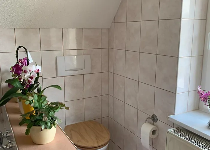 Romantische Fuer 5 Mit Hund Im Erzgebirge شقة