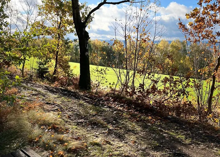 Romantische Fuer 5 Mit Hund Im Erzgebirge شقة Beierfeld