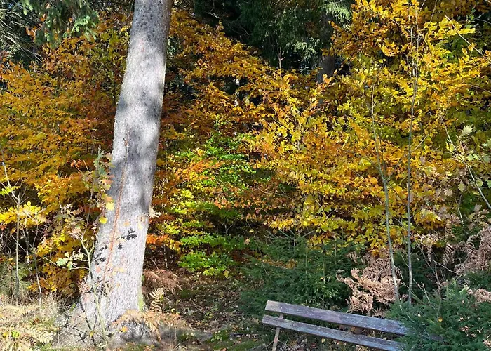 Romantische Fuer 5 Mit Hund Im Erzgebirge شقة Beierfeld